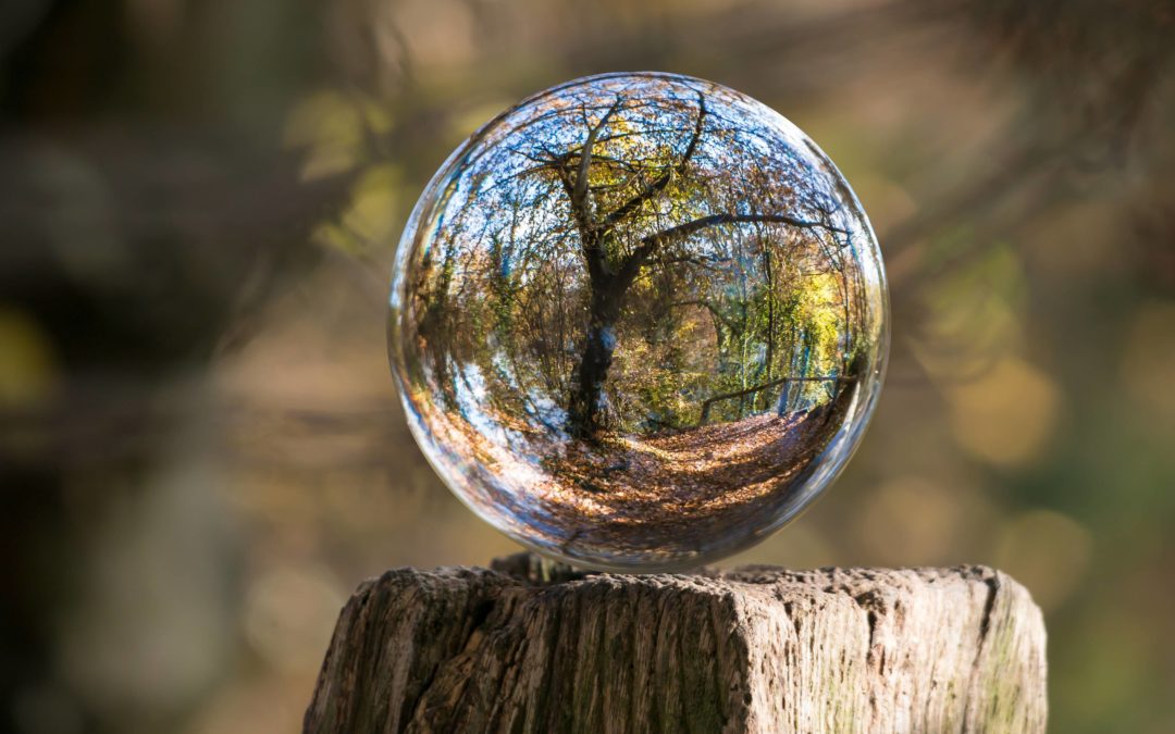 Glazen bol op houten paal met reflectie van een boom - Coachpraktijk Aandacht